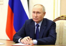 Торговый конфликт между Польшей и Украиной помог президенту РФ Владимиру Путину, при этом не глава российского государства спровоцировал эту ситуацию, пишет Politico