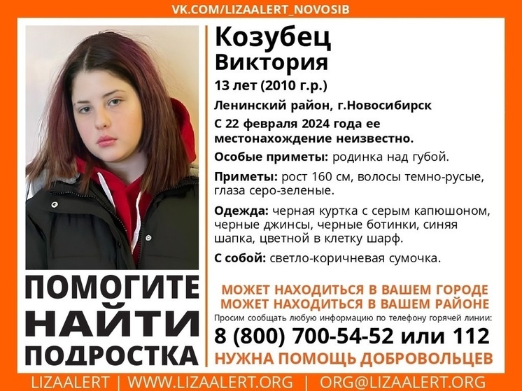 В Ростовской области ищут 13-летнюю девочку-подростка из Новосибирска