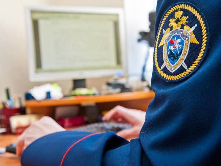 Обвиняемый в мошенничестве предприниматель из Ясногорска заключен в СИЗО