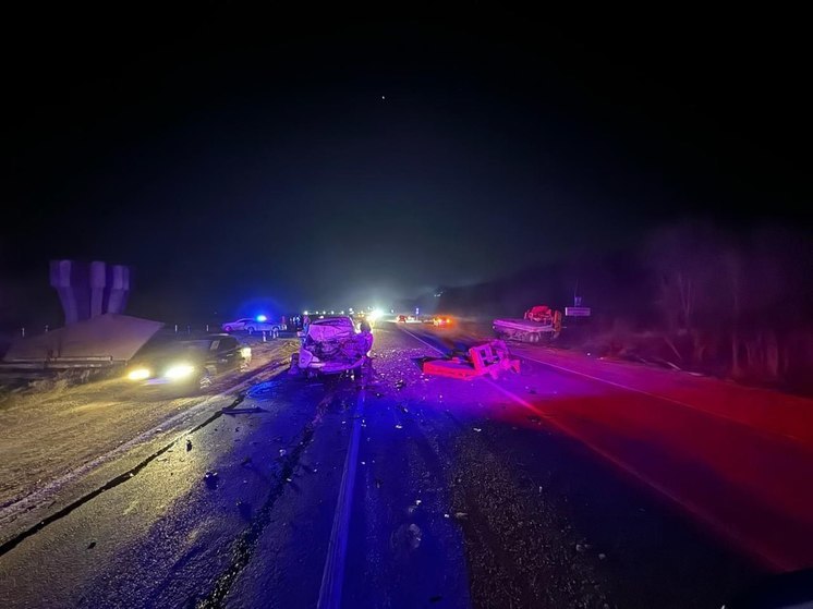 Супруги из Светлограда пострадали в ДТП с грузовиком на трассе «Астрахань-Элиста-Ставрополь»