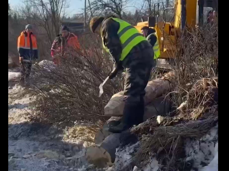 Дорожники перенесли гнездо аистов весом 200 кг в Лужском районе