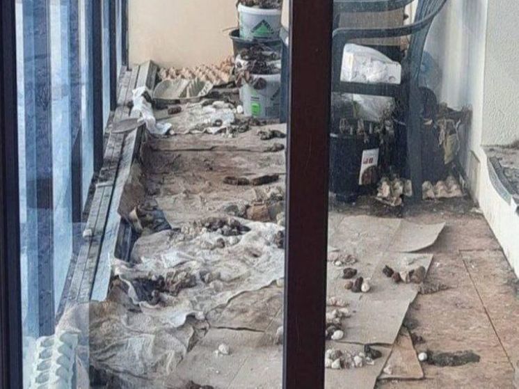 Бабушка выгуливает собаку на балконе в современном ЖК в Мытищах