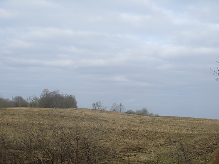 В Багратионовском районе провели исследования четырех земельных участков