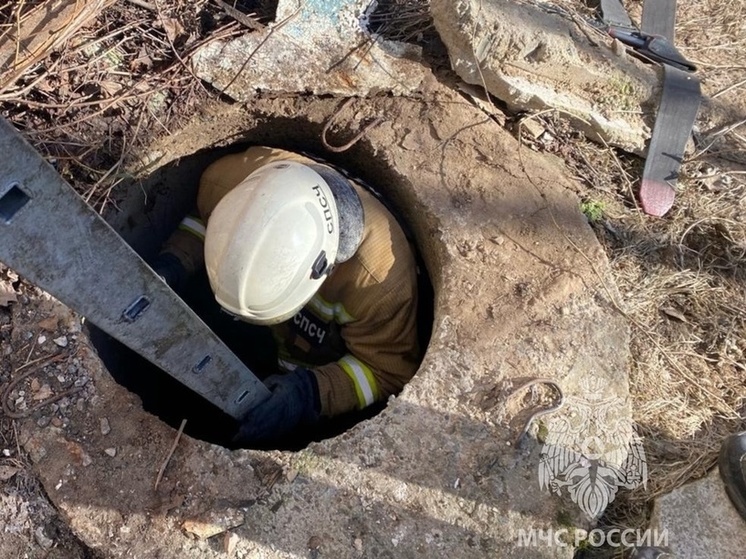 В Твери из колодца спасли собаку