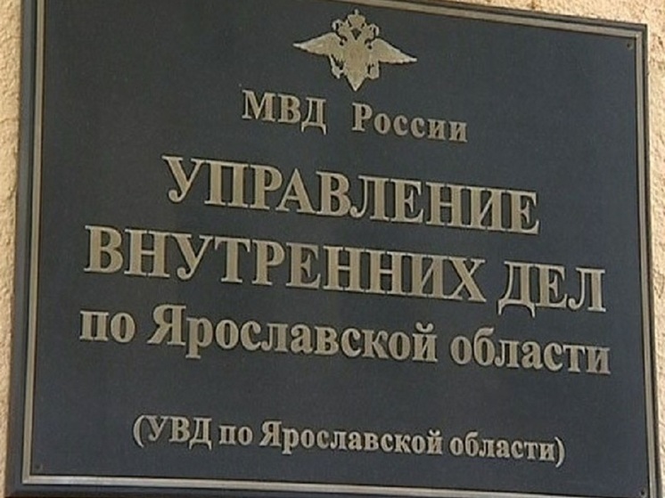 Ярославское УМВД прокомментировало родительский ажиотаж из-за отметки о гражданстве