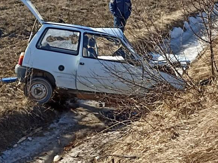 Водитель «Оки» разбился насмерть на трассе в Волотовском округе