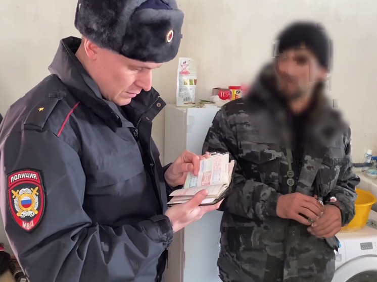 Челябинские полицейские охотятся за мигрантами-нелегалами с помощью БПЛА