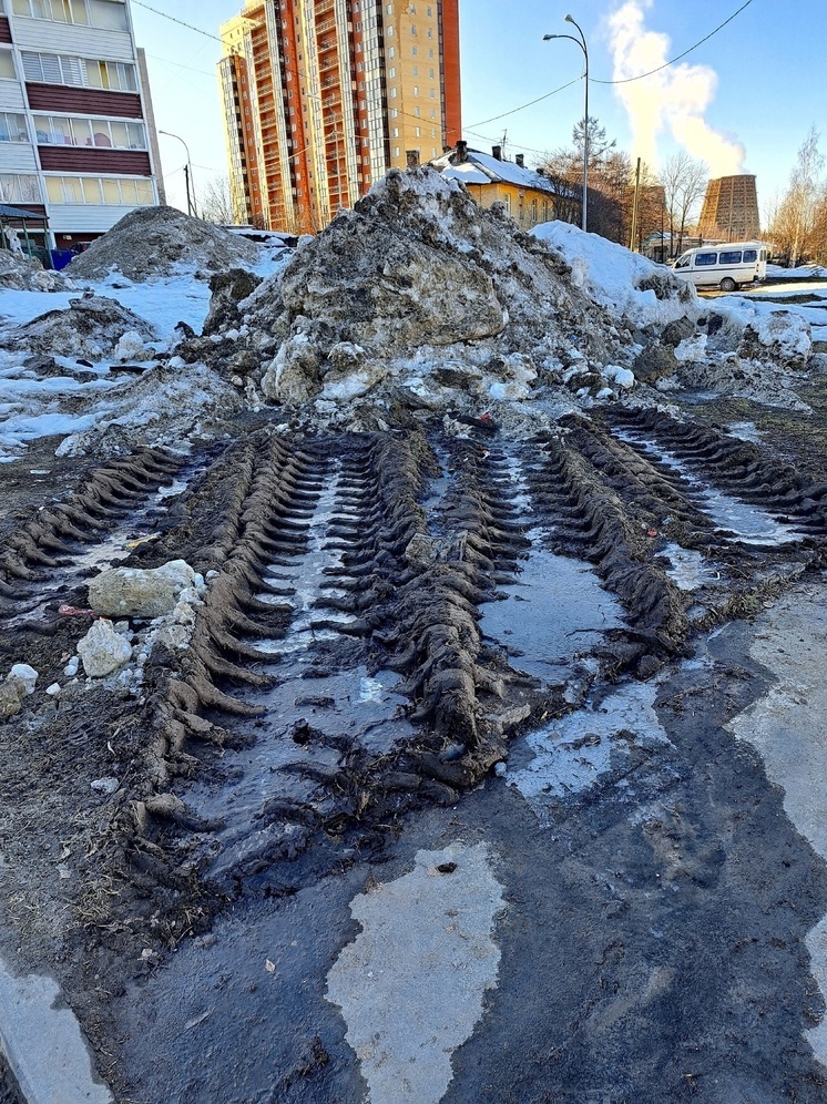 Жители Петрозаводска требуют восстановить обезображенный уборкой снега сквер