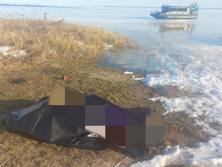 Тело мужчины нашли на льду Ладожском озера около деревни Ганнибаловка