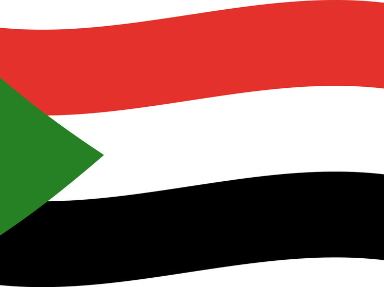 Министр иностранных дел Судана Али: страна не поставляла оружие Украине