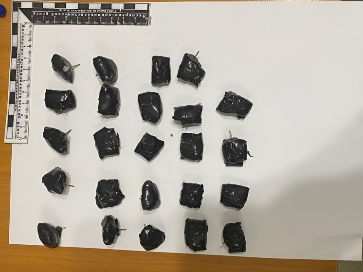 Полицейские Северодвинска задержали подозреваемых в покушении на незаконный сбыт наркотиков