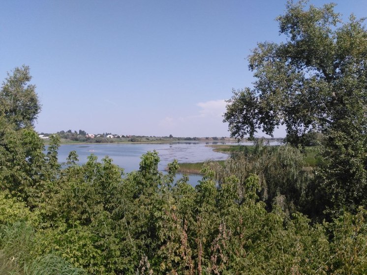 7 марта отмечается день тюльпанов и тёплого одеяла