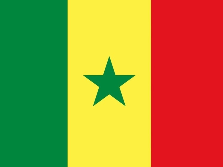 Президент Сенегала Салл распустил правительство и назначил нового премьера