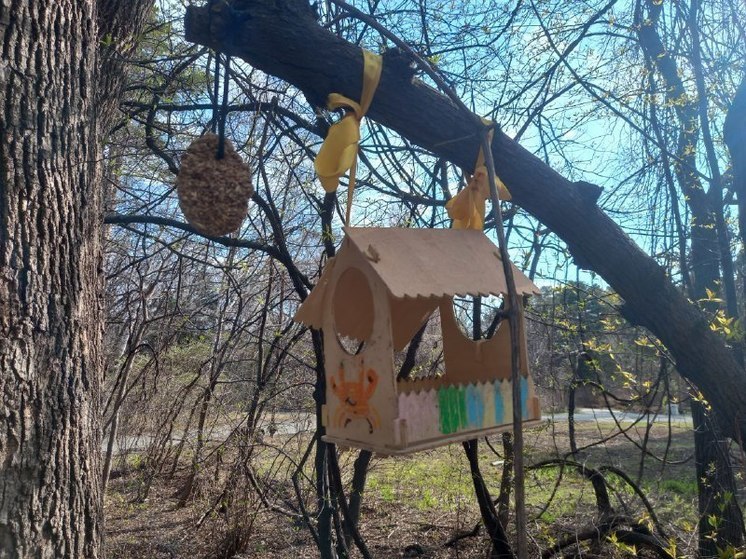 В Хабаровске неделя после праздника начнется с потепления