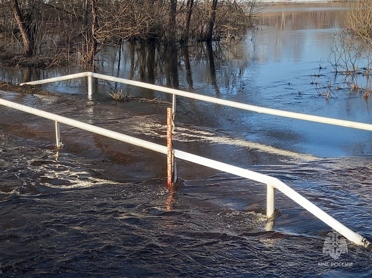 Паводковая ситуация в Смоленской области