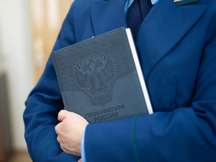 Районную администрацию в Хабаровском крае через суд заставили обслуживать дороги