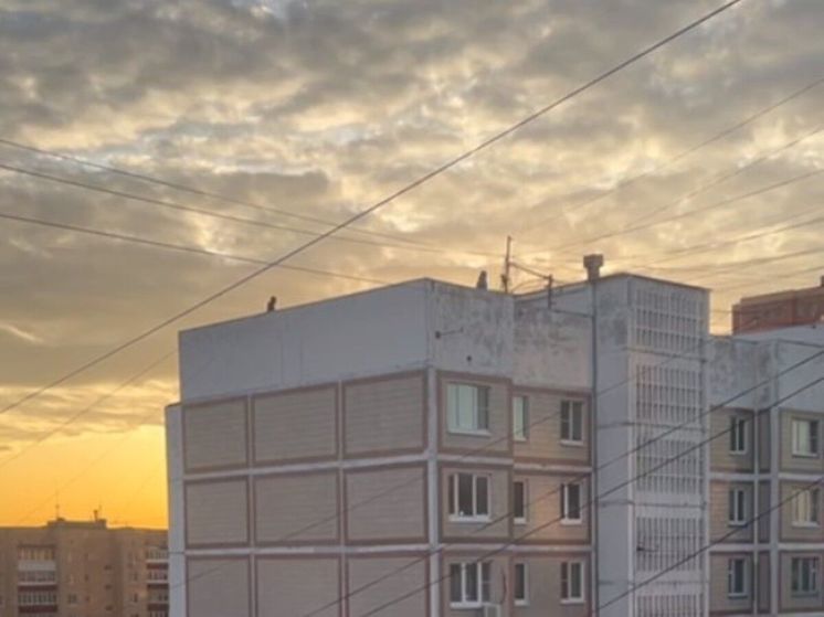 В Подмосковье подростки кидали с крыши куски льда в прохожих