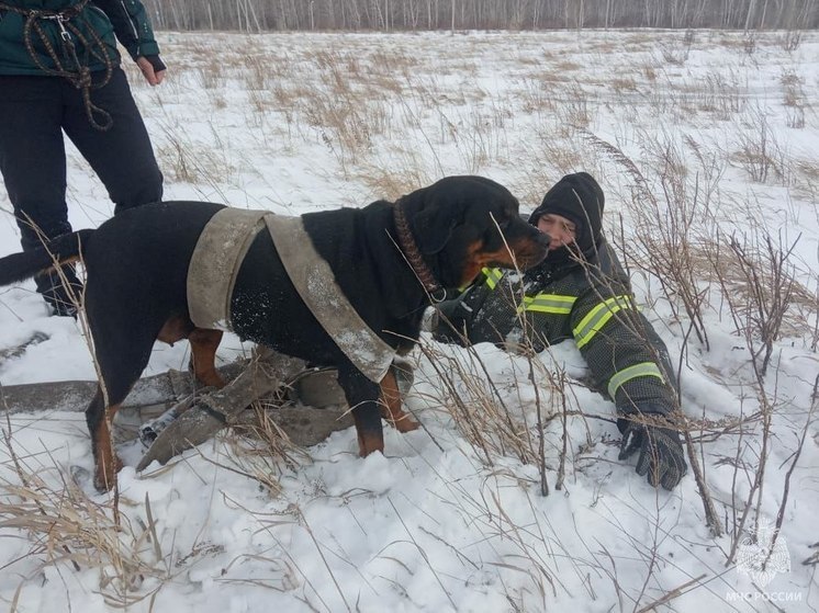 В Алтайском крае бойцы МЧС спасли собаку, упавшую в колодец