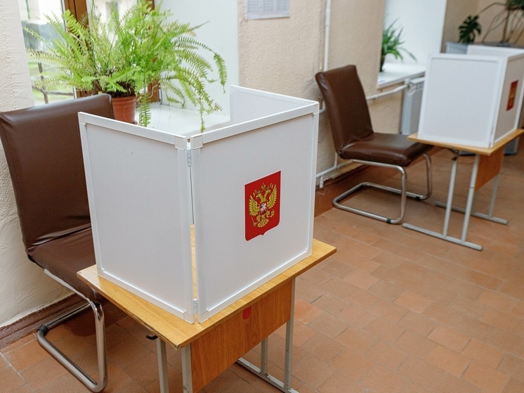 Илья Стрелков проанализировал позиции кандидатов в президенты в Псковской области