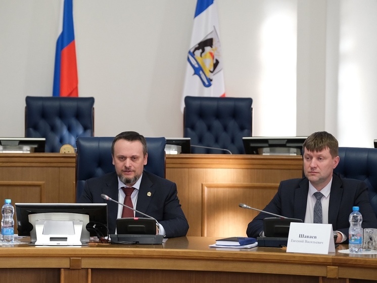Налоги самозанятых в Новгородской области предложили направлять на поддержку ТОС