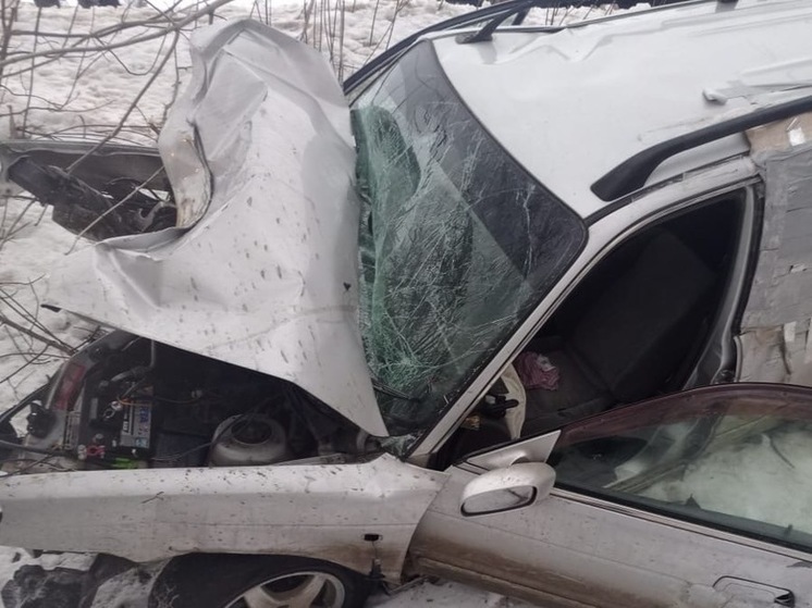 На липецкой трассе в ДТП пострадал водитель иномарки и 14-летний пассажир