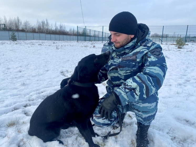 Кинолог с собакой нашли в Вологде потерявшуюся пенсионерку