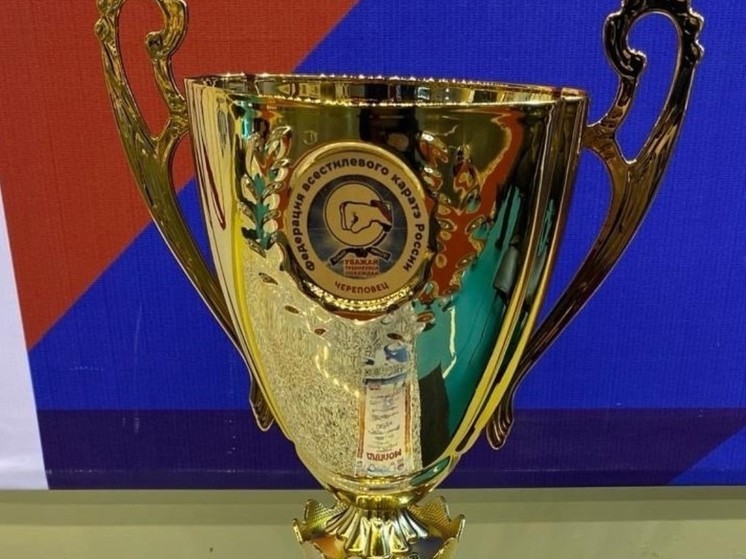 Новгородская команда завоевала золото на турнире СЗФО по всестилевому каратэ