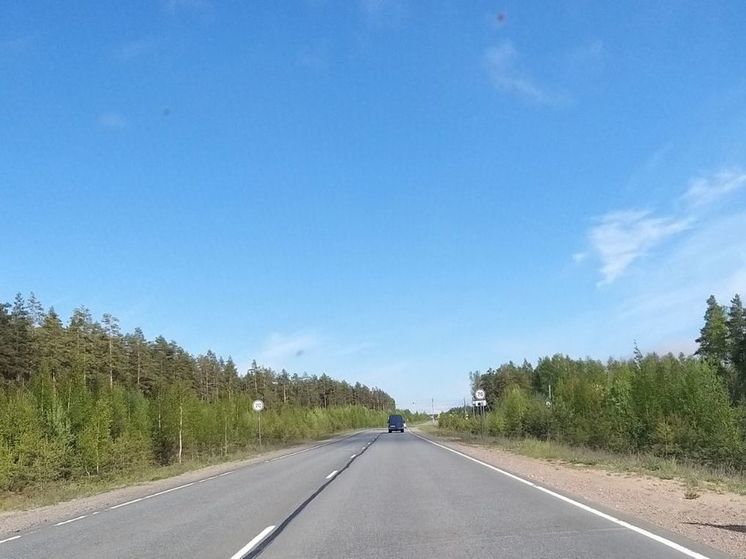 Движение на девяти трассах будет ограничено в Ленобласти 8 марта