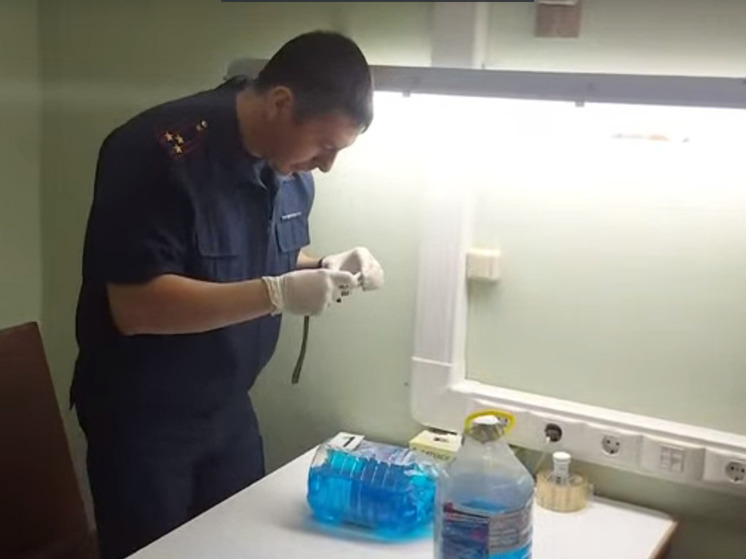 Торговца ядовитой стеклоомывайкой задержали в Медвежьегорске