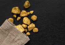 Два иска о признании ненормативных правовых актов недействительными подала к Минприроды Алтайского края «Европейско-Азиатская горнорудная компания» (ЕАГК), занимающаяся добычей золота.