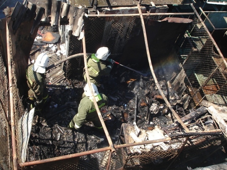 На Дону при пожаре в частном доме погиб мужчина