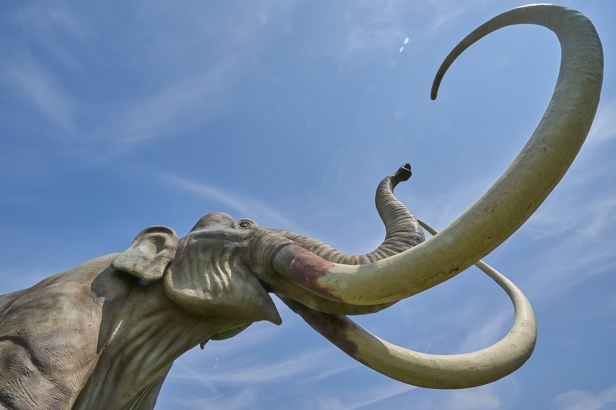 Scientists have promised to resurrect extinct mammoths by 2028