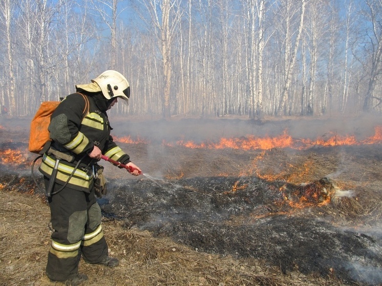 В Новгородской области утвердили сводный план тушения лесных пожаров