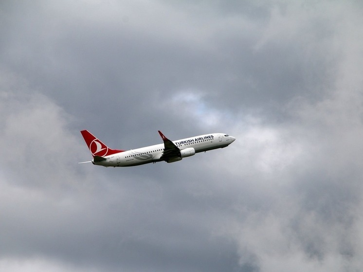 Авиакомпания Turkish Airlines массово снимает россиян с рейсов из Стамбула в Аргентину