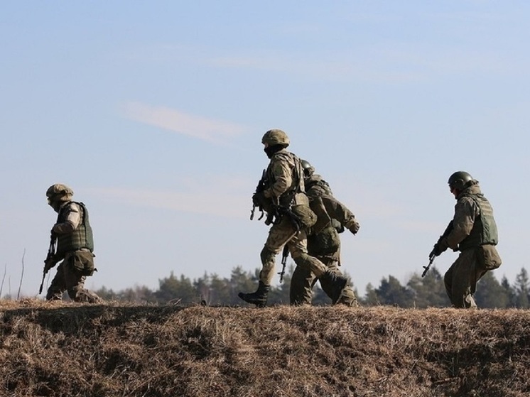 Рогов: российские войска продвинулись на 1 километр от Вербового в сторону Работина