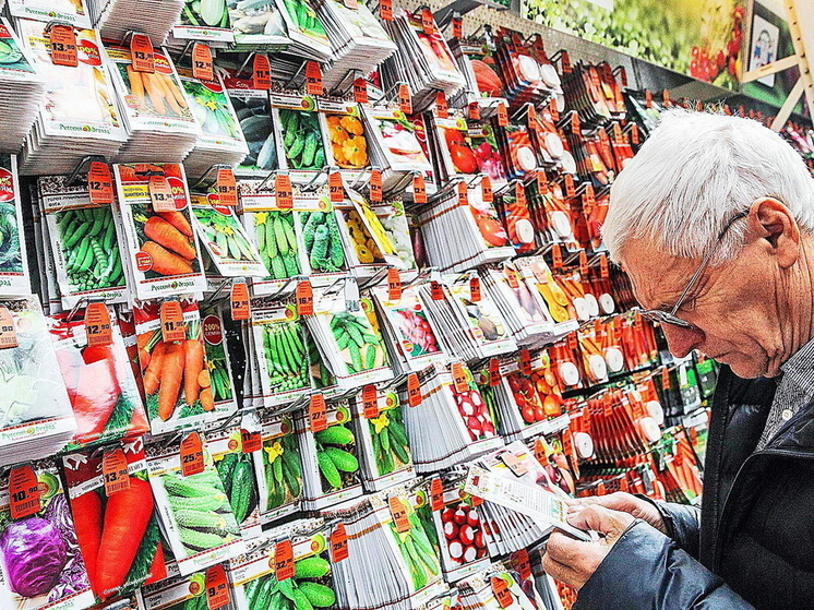 Владимирцам продавали 200 «левых» сортов семян