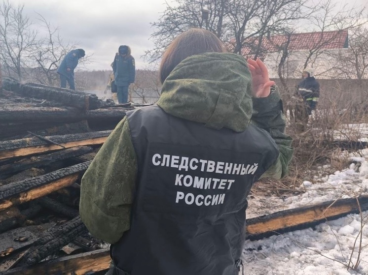 СК РФ начал проверку по факту гибели трех человек на пожаре в деревне Каменка