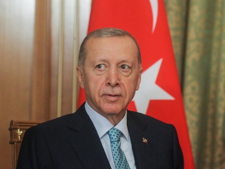 Эрдоган выразил готовность провести мирный саммит Россия – Украина