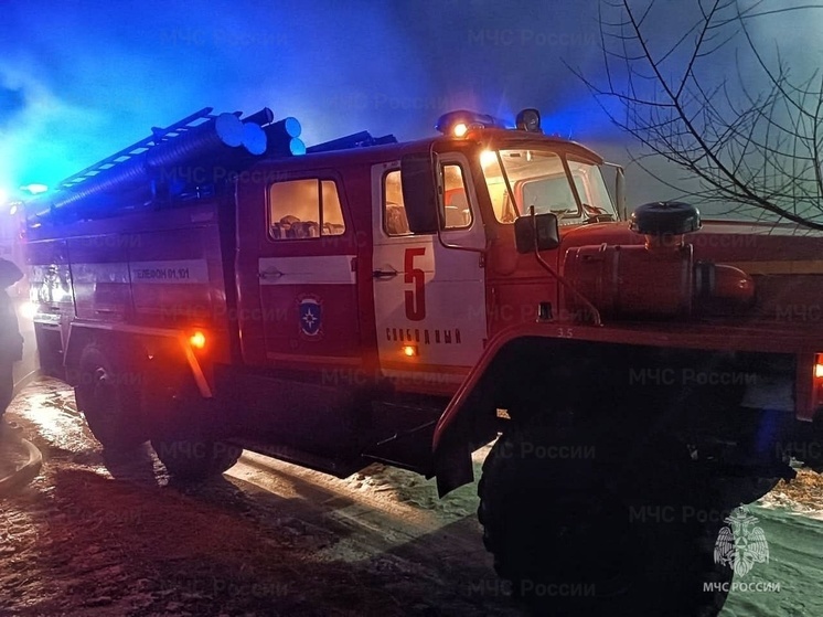 Пожилая женщина погибла в пожаре в Приамурье