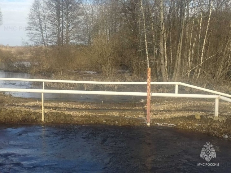 Паводковая ситуация в Смоленской области