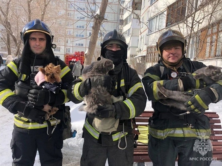 Детей, взрослых и животных спасли омские МЧСники от пожара в многоэтажке