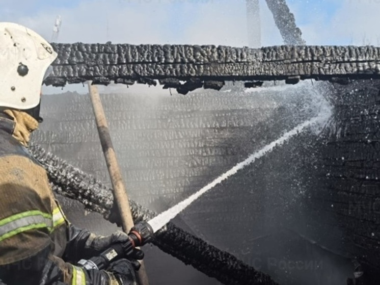 Крупный пожар произошел в садовом товариществе в Екатеринбурге