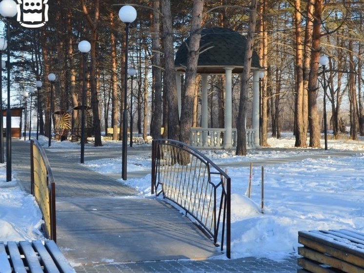 Вольер с белками установили в парке в Приамурье