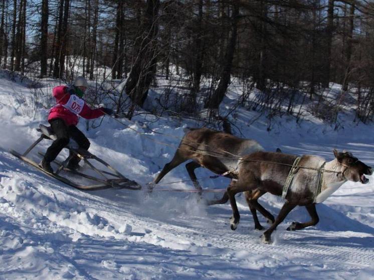 В Якутии открыли День оленевода гонками на оленьих упряжках