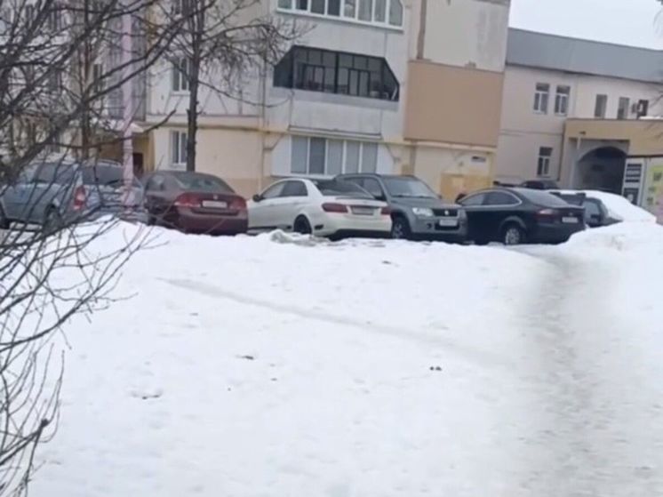 Житель региона призвал владельцев собак убирать за своими питомцами