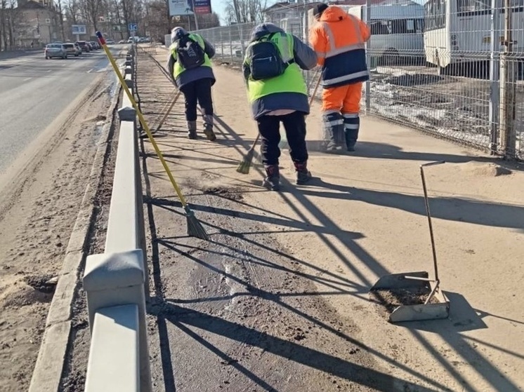 Александр Розбаум призвал новгородцев сообщать о плохой уборке города
