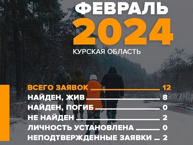 В Курской области поисковый отряд «ЛизаАлерт» нашел в феврале живыми 8 человек