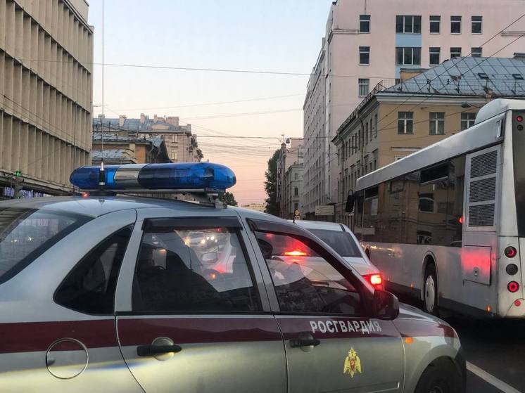 Относившего ружье в полицию мужчину в Петербурге остановила Росгвардия
