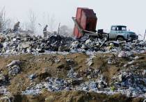 Следственным управлением СК России по Камчатскому краю возбуждено уголовное дело после обнаружения на мусорном полигоне трупа новорожденного