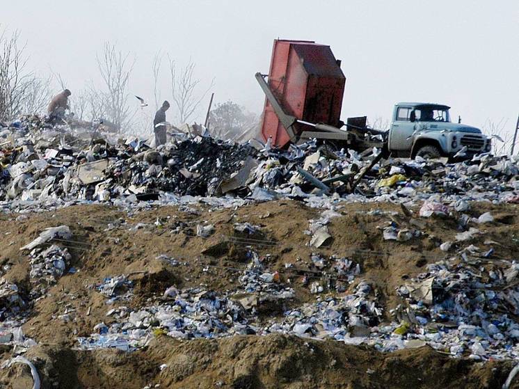 На Камчатке расследуют убийство  после обнаружения на мусорном полигоне трупа новорожденного